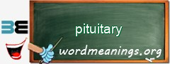 WordMeaning blackboard for pituitary